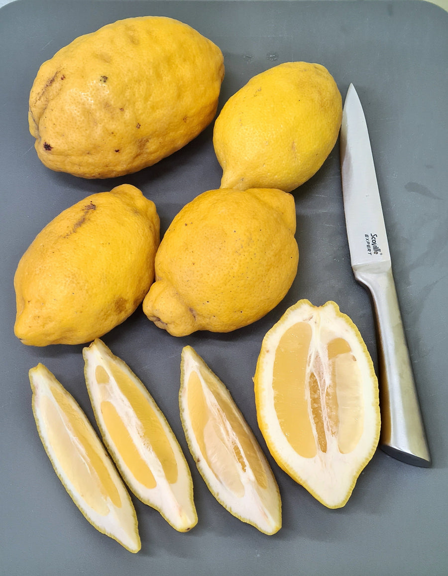 50ml Amalfi Lemon Special Edition Gin